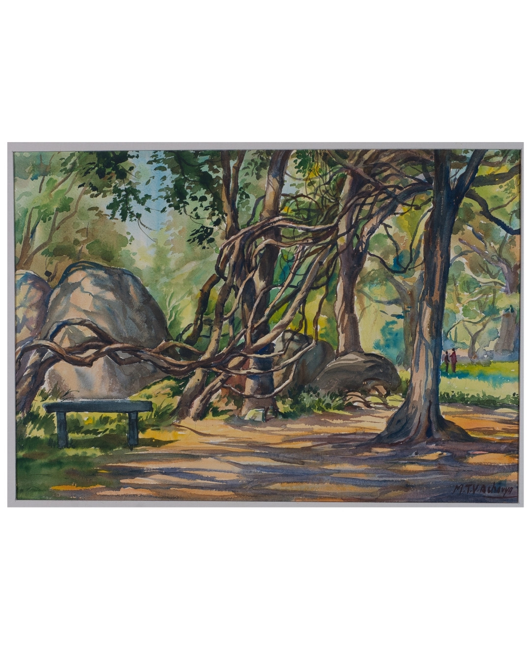 The Shaded Woodland Garden